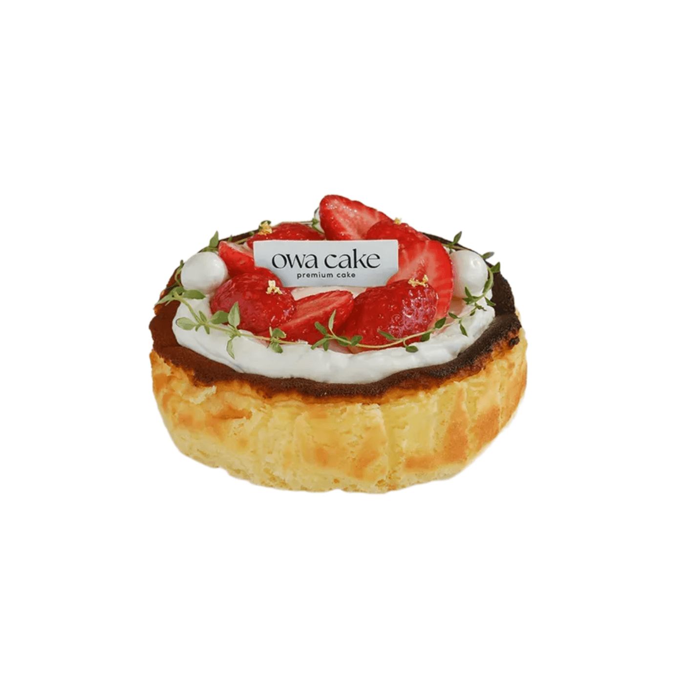 베리 바스크 미니