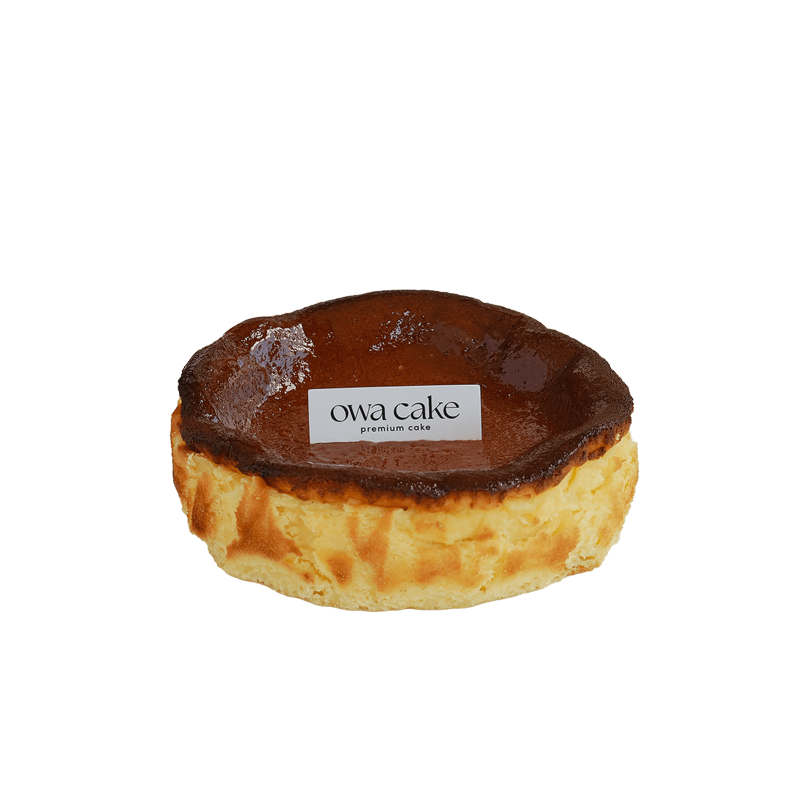 플레인 바스크 미니